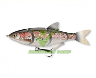 ME-RA Roach-Rainbow trout