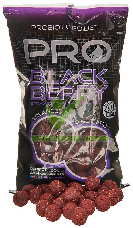 Boilies STARBAITS Probiotic Pro Blackberry 1kg 20mm