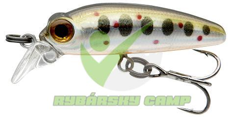 Baby Minnow Baby Trout