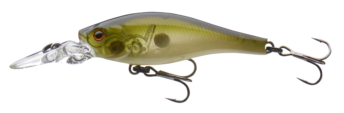 Shiner 45 -MR 53-69 304