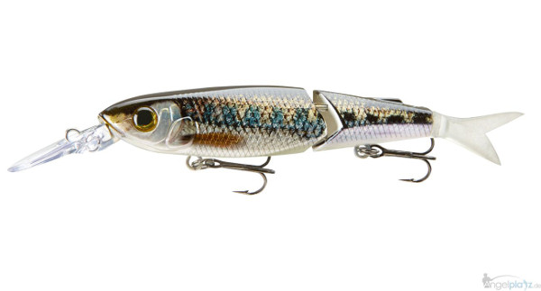 Tiny Bone gudgeon