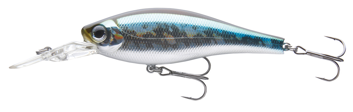 XL Shiner 100F crash wakasagi