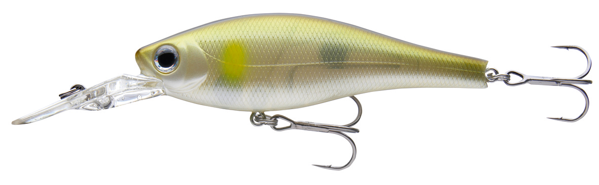 XL Shiner 100F ayu