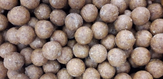 Krmné boilies Squid scopex 20mm 5kg