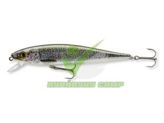 Minnow N45 rainbow trout